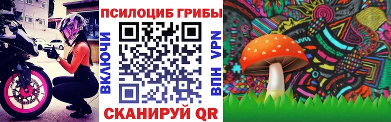 где продают наркотики  Нариманов  Галлюциногенные грибы Magic Shrooms 